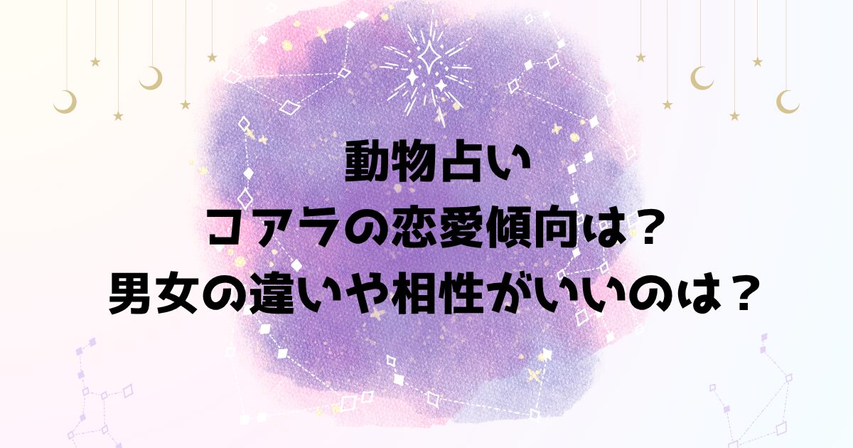 動物占いコアラの恋愛傾向は？男女の違いや相性が良い動物タイプは？